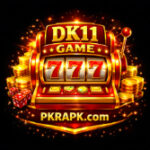 DK11 Game