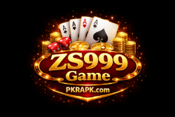 ZS999 Game