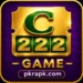 C222 game download apk