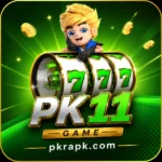 pk11 game download home interface