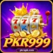 PKR999 game home page