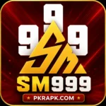SM999 game download